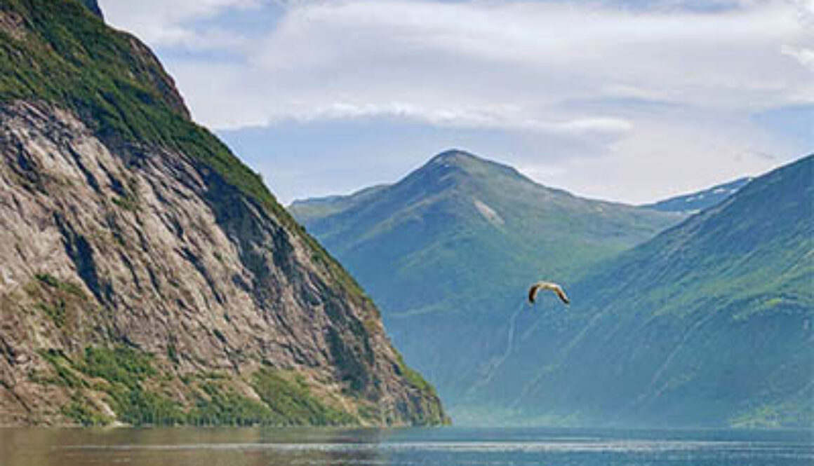 Fjorden Icoon