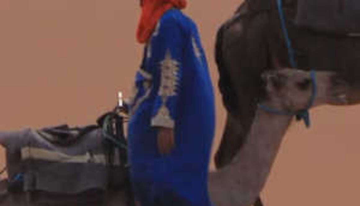 Reistips-Marroko-Icoon